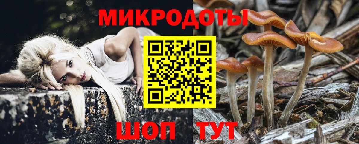 Галлюциногенные грибы прущие грибы Крымск
