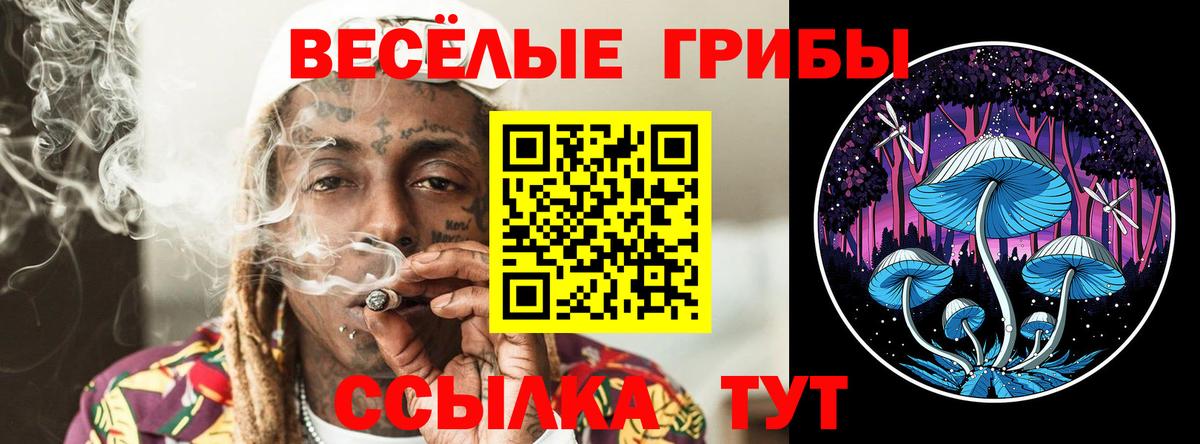 Псилоцибиновые грибы мухоморы  Вход с VPN  Крымск  Псилоцибиновые грибы мухоморы 